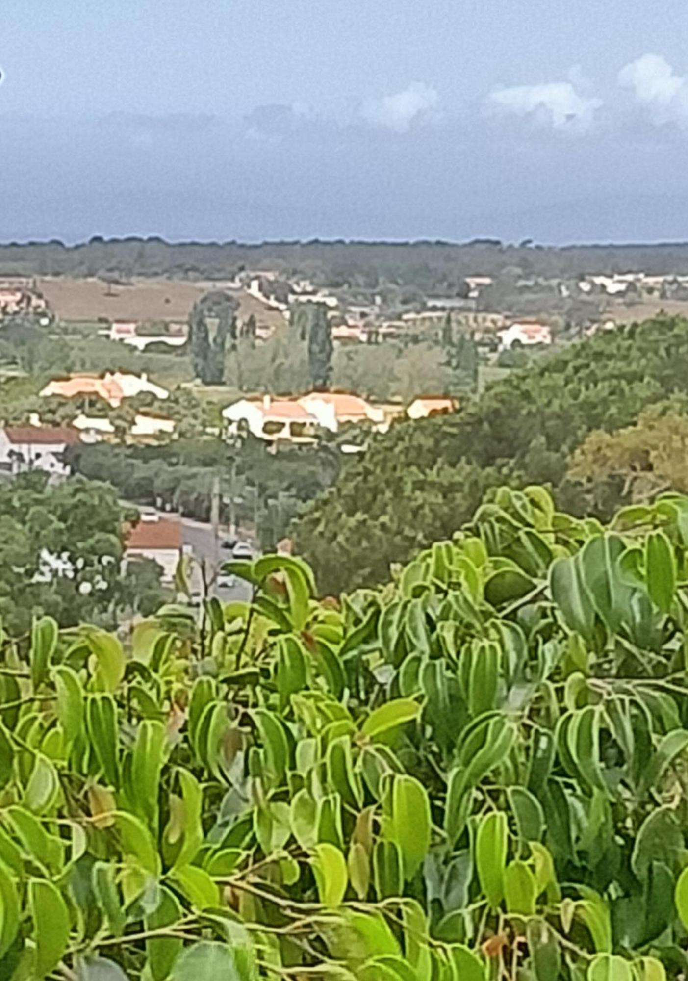Alojamento Local Largo Da Igreja Santiago do Cacém Стая снимка